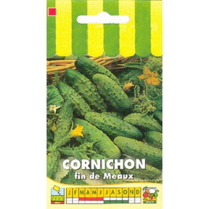 Graine - Semence - Cornichon fin de Meaux