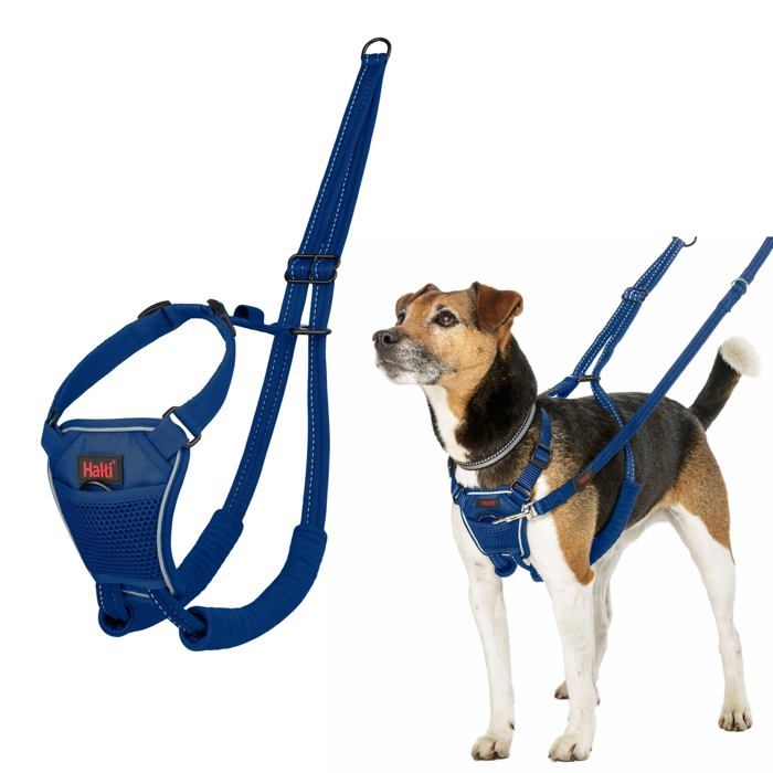 Harnais anti-traction pour chien - Halti - Réfléchissant - Sangle rembourrée - Taille S - Bleu Cobalt - Polyester Harnais anti-traction pour chien - Halti - Réfléchissant - Sangle rembourrée - Taille S - Bleu Cobalt - Polyester
