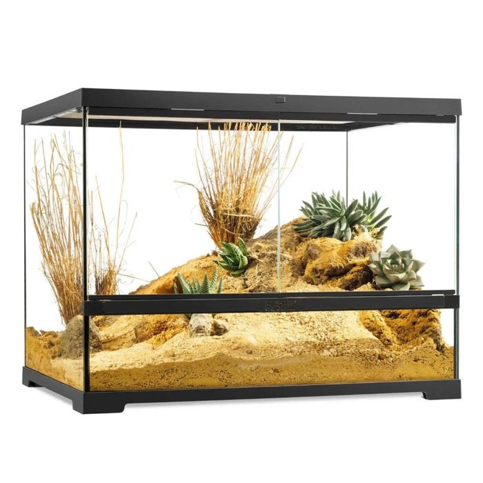 Meilleurs prix pour Terrarium Paludarium 60x45x45cm Reptile Et Amphibien Pro Terrarium Pt4408 - Exo Terra