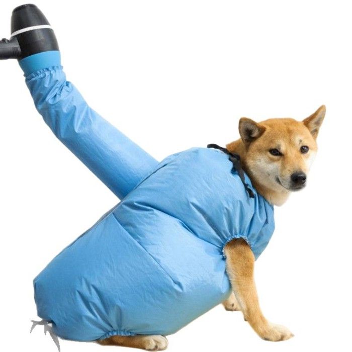 Sac de séchage pour chiens taille L 20-40 kg anti-éclaboussures gain de temps