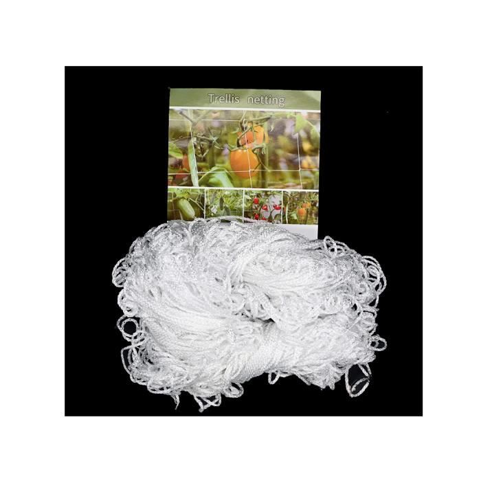 Filet De Support Pour Plantes Grimpantes - 100 X 100 Cm, élastique, Avec 4 Crochets, Idéal Jardin Potager Ou Fleurs