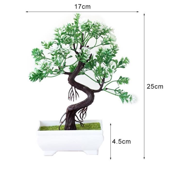 Plantes miniatures pour maison de poupée, bonsaïs à l'échelle 1:12, pour maison ou véranda, par Mimi