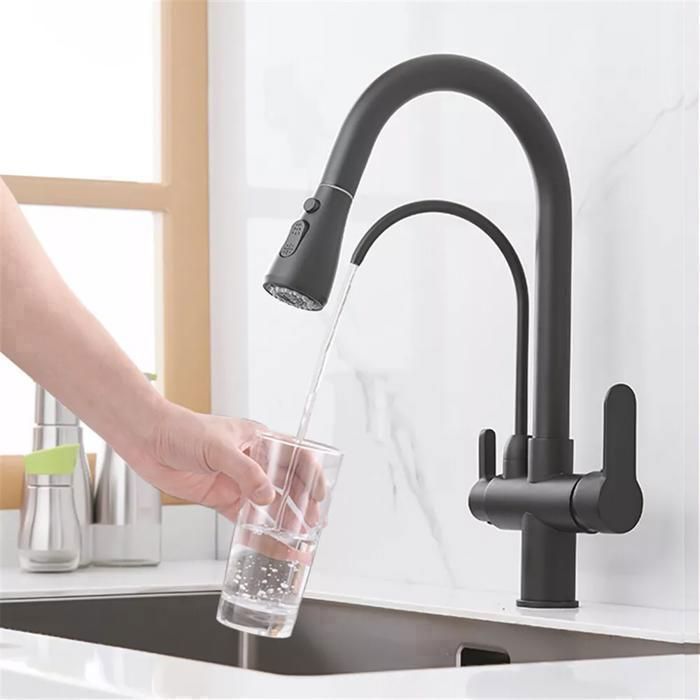 Robinet De Cuisine 3 En 1 Avec Filtre - Acier Inoxydable, Bec Rotatif 360°, Flexible Extensible 46 Cm, Pulvérisateur 2 Modes