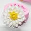Moule En Silicone Fleur De Lotus Fondant Gateau En Argile Polymere Decor Sugarcraft Diy Moule Rose Cdiscount Maison