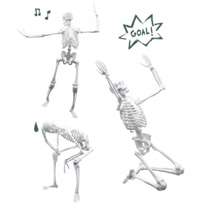 Squelette - 85 cm - Jeux scientifiques - STEM - Jeux éducatifs