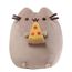 peluche pusheen
