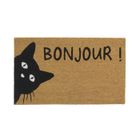 Paillasson Coco - Chat - Aubry Gaspard - Fibre de coco - 75 x 45 x 1.5 cm - Antidérapant