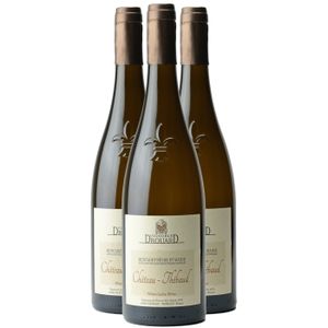 VIN BLANC Vignoble Drouard Muscadet Sèvre et Maine Château T