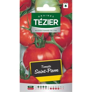 GRAINE - SEMENCE Sachet Graines - Tezier - Tomate Saint-Pierre - Sa