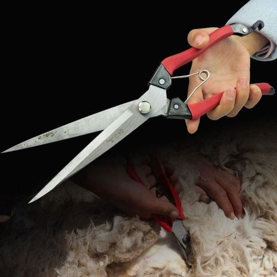 Ciseaux à Sabots Pour Chèvre, Mouton, Vache - 19 Cm (7.5") - Acier Haute Dureté - Ressort Puissant - Poignée Antidérapante