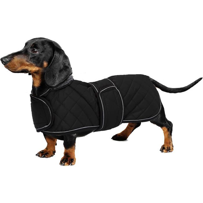 Meilleurs prix pour Manteau imperméable pour teckel - VETOBIOL - Réglable - Doublure en polaire - Passepoil réfléchissant