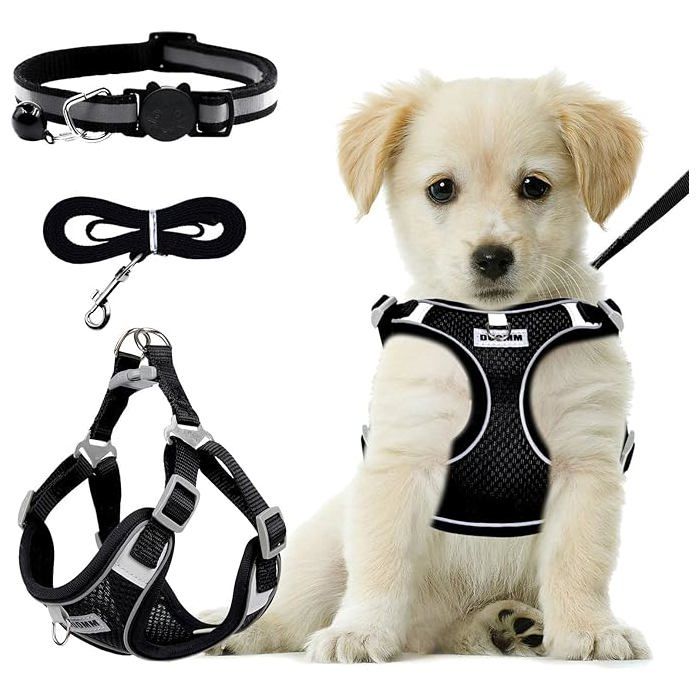 Harnais Chien avec Laisse Anti-Traction Respirant et Réfléchissant Taille Réglable Sécurité Extérieure M