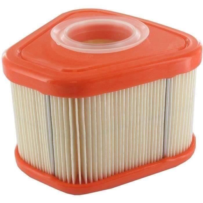 Filtre à air adaptable BRIGGS & STRATTON pour modèles 115P02, 115P05, 123P0B, 123P02, 123P07, 123P32