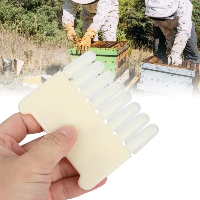 Petit Grattoir à Gelée En Acier Inoxydable - Râpe Liang Pi, Machine Pâtes Chinoises, Outil Épluchage Tranchage