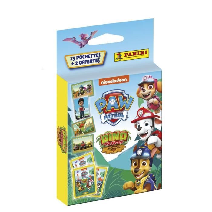 Carte Pat Patrouille Cdiscount