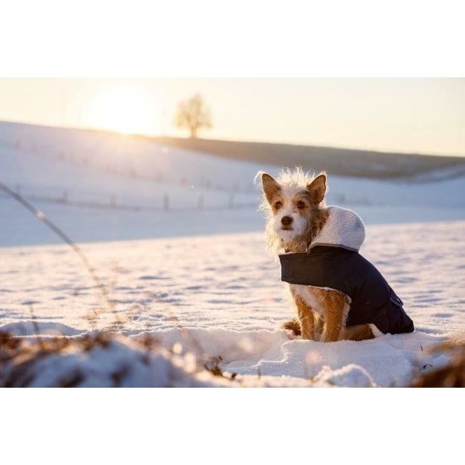 Manteau pour chien - KERBL - Teddy - Imperméable - Doublure en Teddy - Réfléchissant Manteau pour chien - KERBL - Teddy - Imperméable - Doublure en Teddy - Réfléchissant