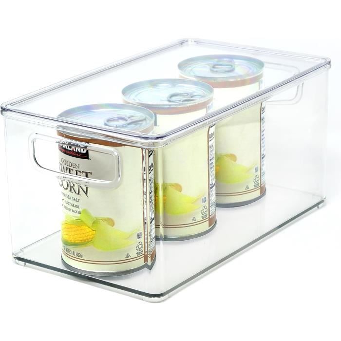 IDesign Organizer Cucina, Piccolo Portaspezie Girevole In Plastica Priva Di BPA, Porta Spezie Trasparente 59086730