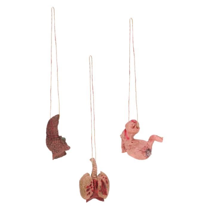 Accessoires Sang Halloween - Fausses Parties Du Corps Coupées | Cœur, Cerveau, Main | Déco Zombie Et Maison Hantée