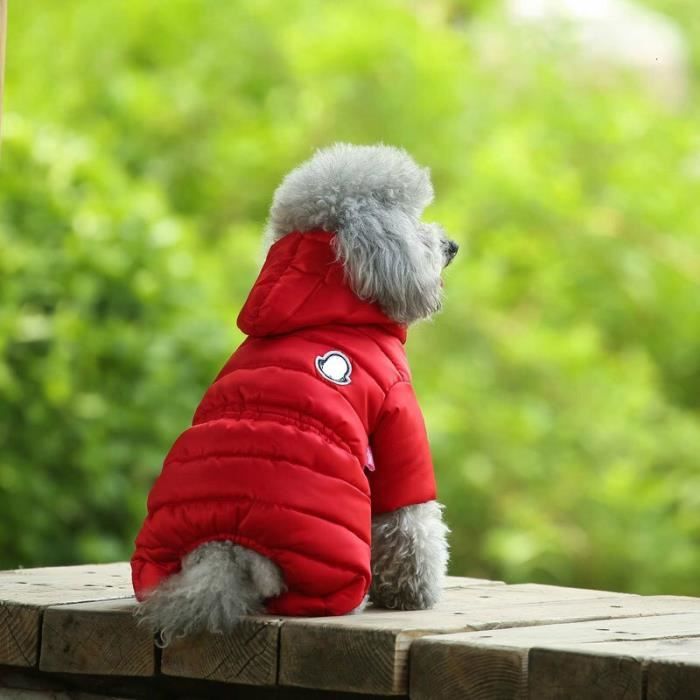 Manteau best sale hiver chihuahua