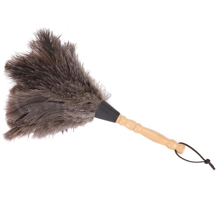 Plumeau à Plumes, Fausse Plume, Brosse à Plumes Antistatique, Long Manche Pour Enlever La Poussière Et Les Meubles Ménagers
