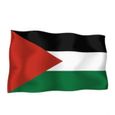 10x autocollant sticker drapeau palestine voiture-0