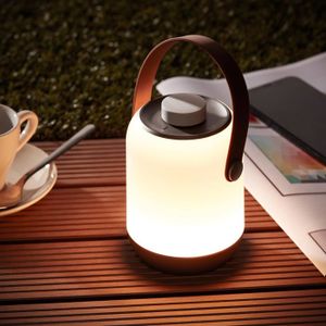 LAMPE DE JARDIN  LED lampe de table pour le jardin avec lumière bla