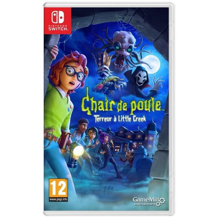 Chair de Poule Terreur à Little Creek Jeu Nintendo Switch