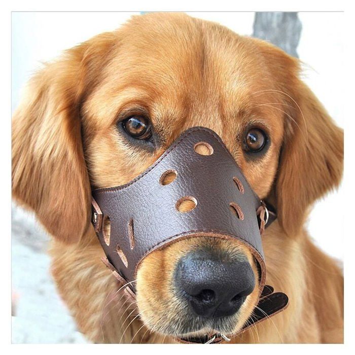 Comparer les prix de Muselière en cuir pour chien anti-aboiement adaptée aux chiens de grande petite et moyenne tailleXL (35— 60kg)