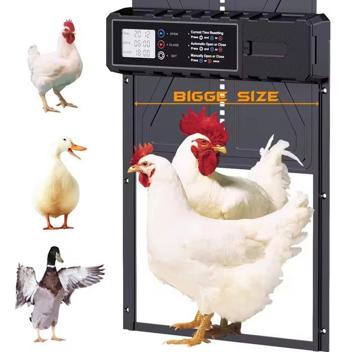 Comparer les prix de Porte automatique de poulailler en aluminium avec grande minuterie daffichage étanche