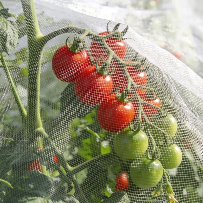 Filet Anti-Insectes, 1.2 x 3m Filet de Protection Anti-Insectes en ...