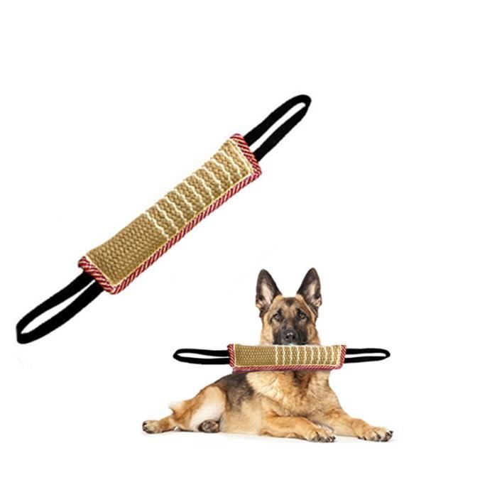 Jouet à mâcher pour chien, 2 poignées, pour dressage d'animaux de Jouet à mâcher pour chien, 2 poignées, pour dressage d'animaux de