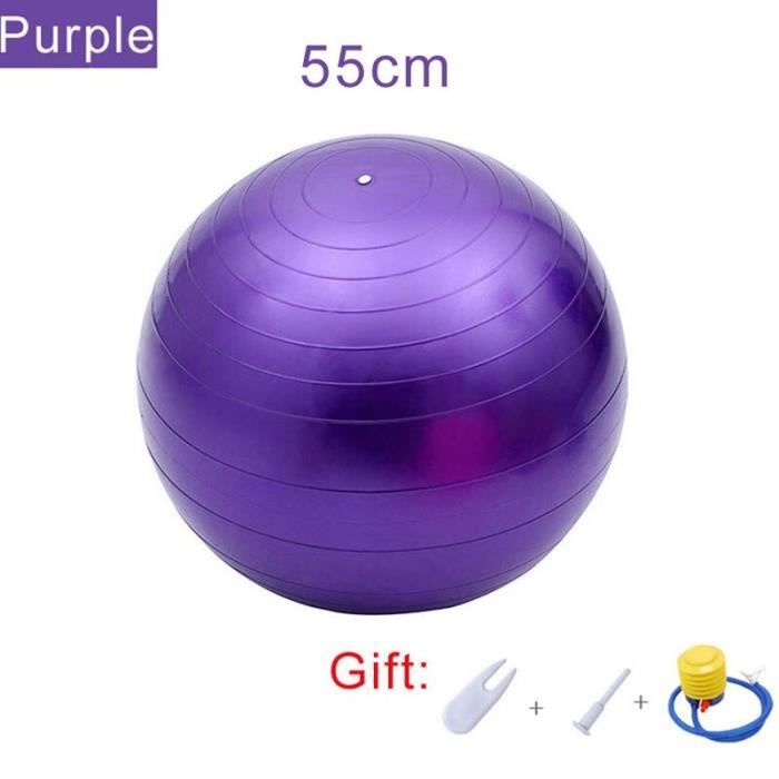 Ballon de gymnastique,Chaise de Yoga avec pompe rapide, ballon d'exercice  de 45cm 55cm 65cm, ballon de stabilité pour - 55CM-Purple