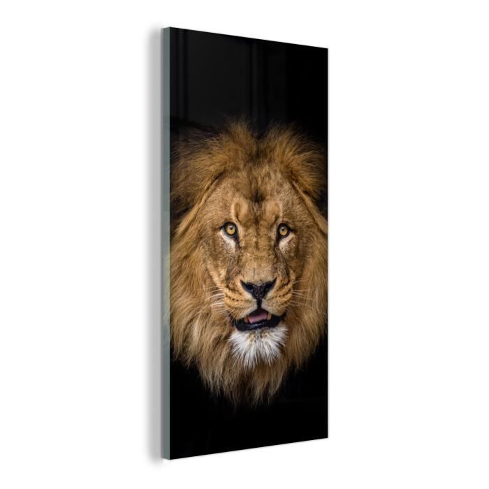 Photos De Profil De Lion Majestic Lion Profile Showcasing Its Regal