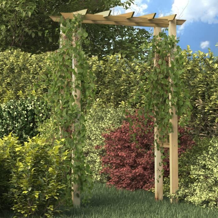 Arche pour rosiers - TMISHION - Bois massif - 150 x 60 x 204 cm - Blanc