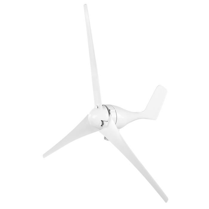 YOSOO Éolienne 800W Éoliennes 5 pales petit moulin à vent générateur