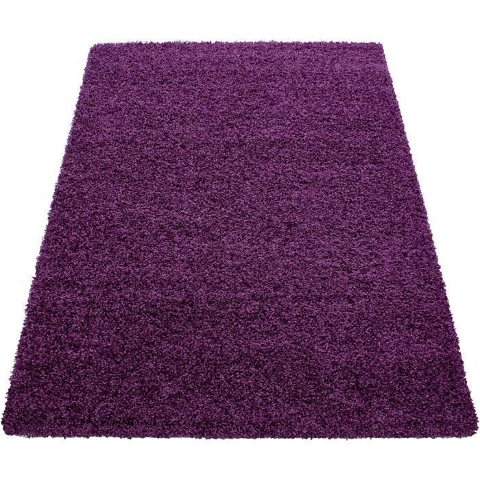 TAPIS DE COCOTIER pour paniers suspendus favorise le flux d'air et la