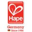 hape magnetic maze