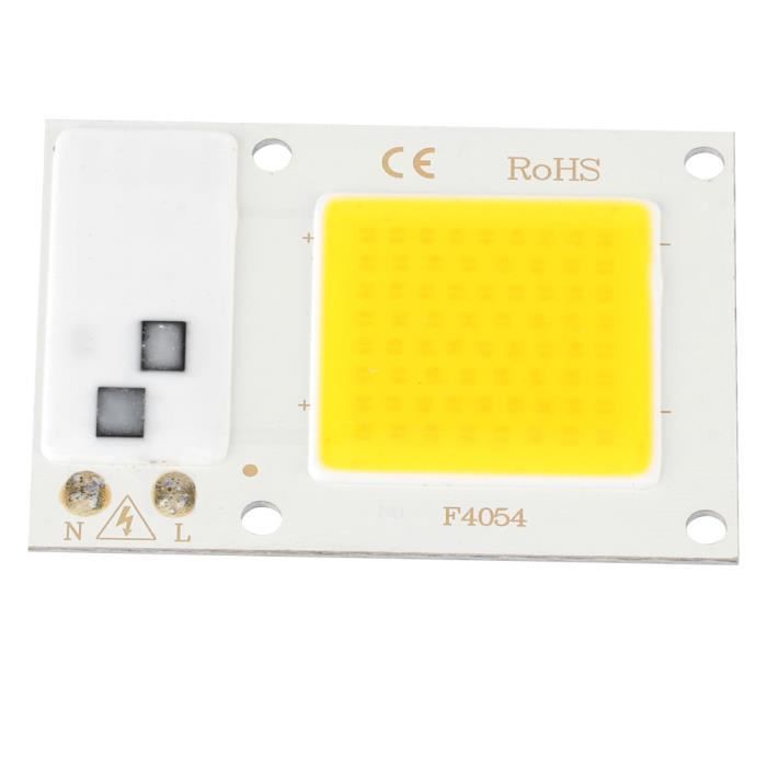 Lot De 10 Ampoules LED Haute Puissance – 10W à 100W, Blanc Froid, IP65, Pour Intérieur/extérieur, Neuf
