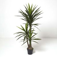 Plante artificielle Yucca en pot, 150 cm