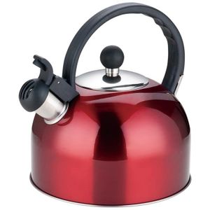 Bouilloire en acier inoxydable Whiste pour tous types de plaques dont induction