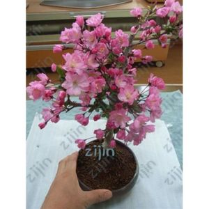 Savon Liquide De Marseille Flacon Pompe 330 Ml Enrichi à L