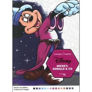LIVRE 0-3 ANS ÉVEIL Livre - coloriages mystères Disney Mickey, Donald & co
