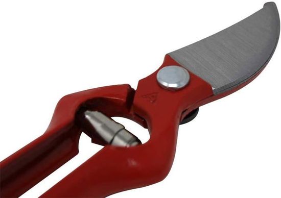 AUSONIA Sécateur Professionnel Forgé 19 Cm – Manche Poli Nickelé, Sécurité Roulette, Taille Précise