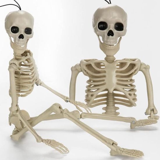 LHZMD Squelette Halloween, Décoration Suspendue, Mini Maquette Squelette  Humain Modèle Anatomique Squelette Lumineux,Décoration Suspendue De Faux Squelette  Humain : : Jeux et Jouets