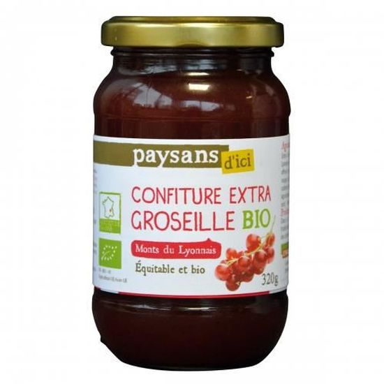 Confiture extra groseille bio 320g Cdiscount Au quotidien