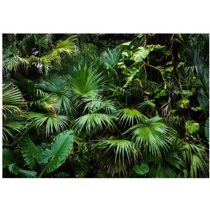 Papier peint intissé Salon, Chambre à coucher - Jungle ensoleillée - 300cm X 210cm, Manuel + colle