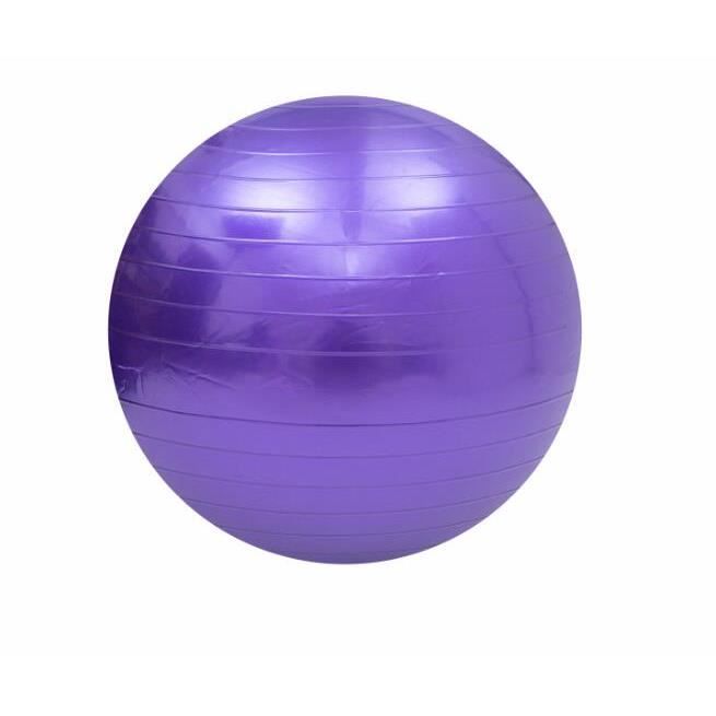 Swiss Ball Ballon de Fitness Gymnastique pour Pilates Yoga Renforcement du Dos avec Pompe Ballon - Violet Diamètre 75 cm Taille M