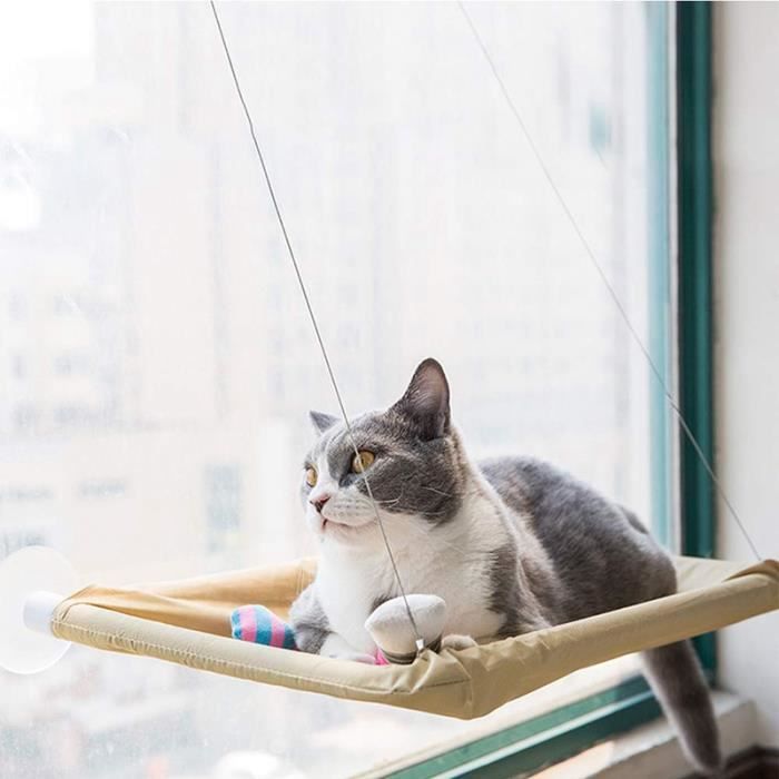 Hamac Cat, SièGe de FenêTre Cat pour SièGe Ensoleillé avec Ventouses ÉConomisez de la Place pour le Lit de Chat Tout Autour pour