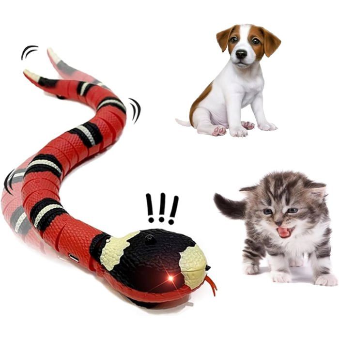 Serpent Électrique Serpent Jouet pour Chat Jouet Serpent à Sonnette avec Câble USB Détection Intelligente