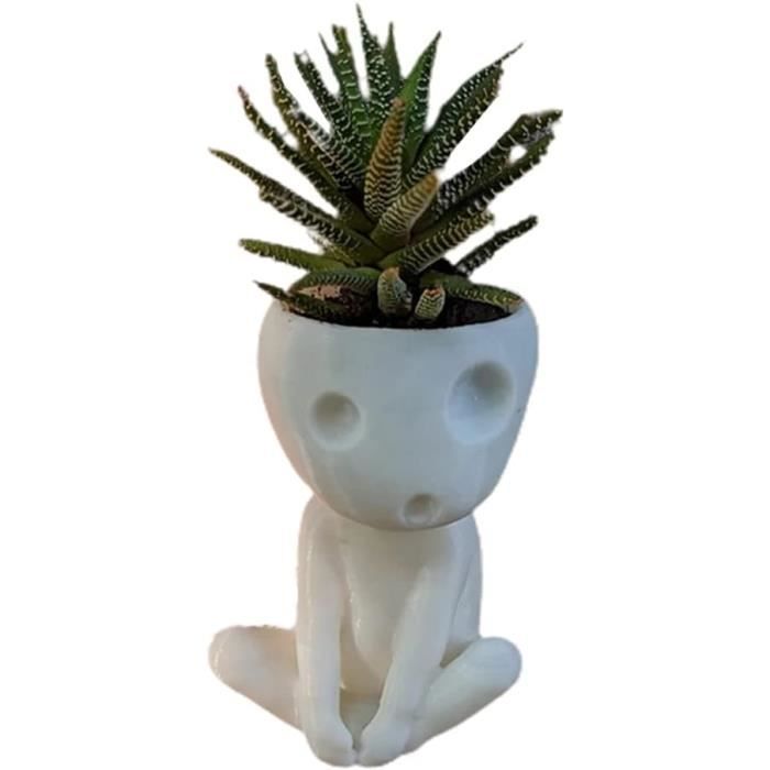 Pots De Fleurs Suspendus Avec Visage Balançoire, Pot De Fleurs, Balançoire, Pot De Fleurs Pour Balcon Avec Tête Suspendue Swing Face Cache-pot En Résine Pour L'intérieur Et L'extérieur (D-1